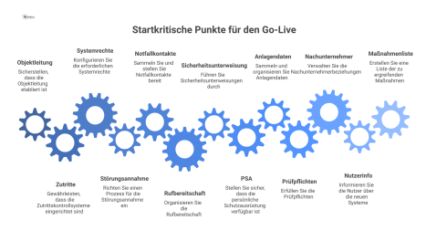 Infografik, die eine Checkliste mit 13 erfolgskritischen Voraussetzungen für den Go-Live eines Projekts mit Icons darstellt.